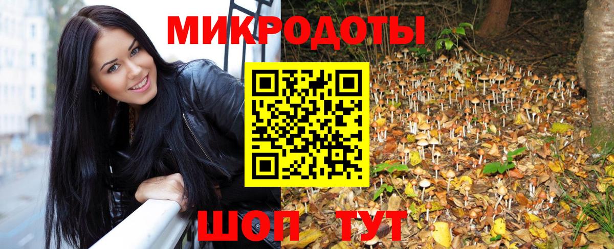 Галлюциногенные грибы мухоморы Котельники