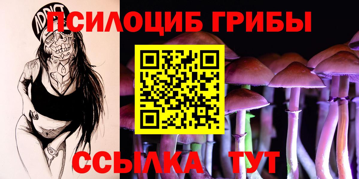 Галлюциногенные грибы Cubensis  Вход с VPN  Котельники 